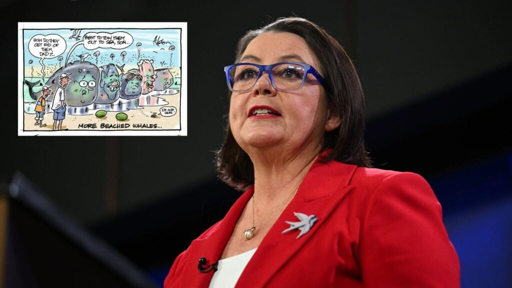 Labor Minister Madeleine King claims media to blame for fuelling political anger after Helen Haines attack