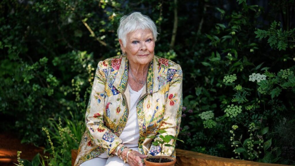 Dame Judi Dench has 'great hope' for theatre's future