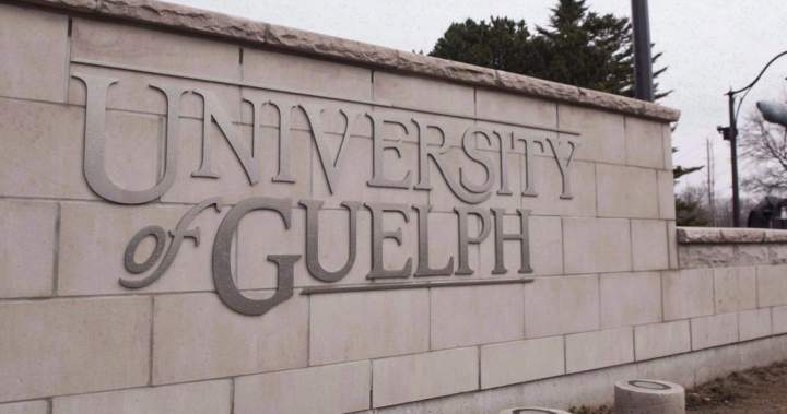 University of Guelph, police to join ‘homecoming working group’ after chaotic party – Guelph