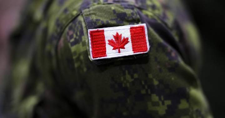 Toronto police to give update on 2 Canadian soldiers facing 49 charges