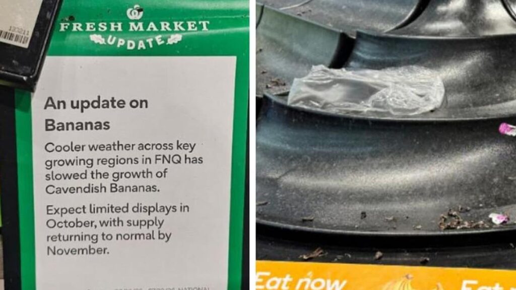 Coles and Woolworths hit by banana shortage as cool weather slows Queensland crops