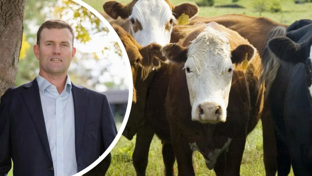 Australian and Chinese red meat industry leaders commit to long-term partnership, sign MoU