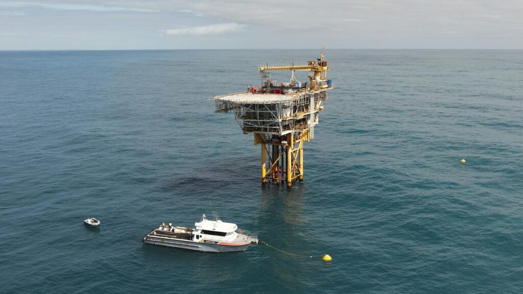 Herd on the Terrace: Pilot Energy administrators Cor Cordis head to court to cap personal liability
