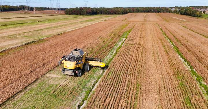 Quebec farmers say proposed high-speed rail threatens their land, livelihoods – Montreal