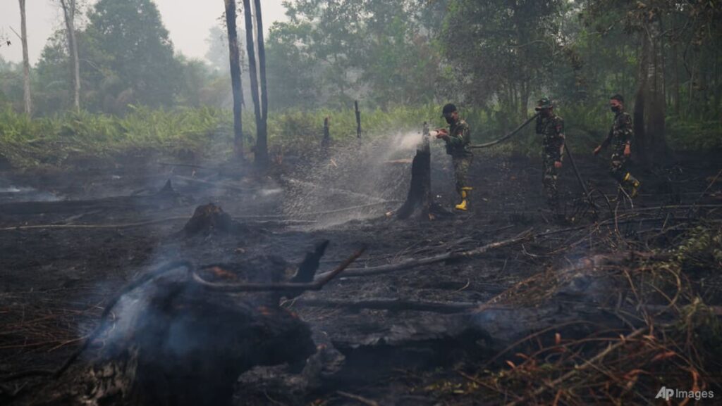 ‘Not as easy as one might imagine’: Poor visibility, wild animals hamper firefighting in Indonesia