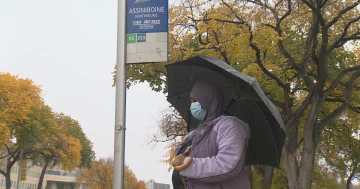 Transit troubles a key issue for Winnipeg voters as civic election looms – Winnipeg