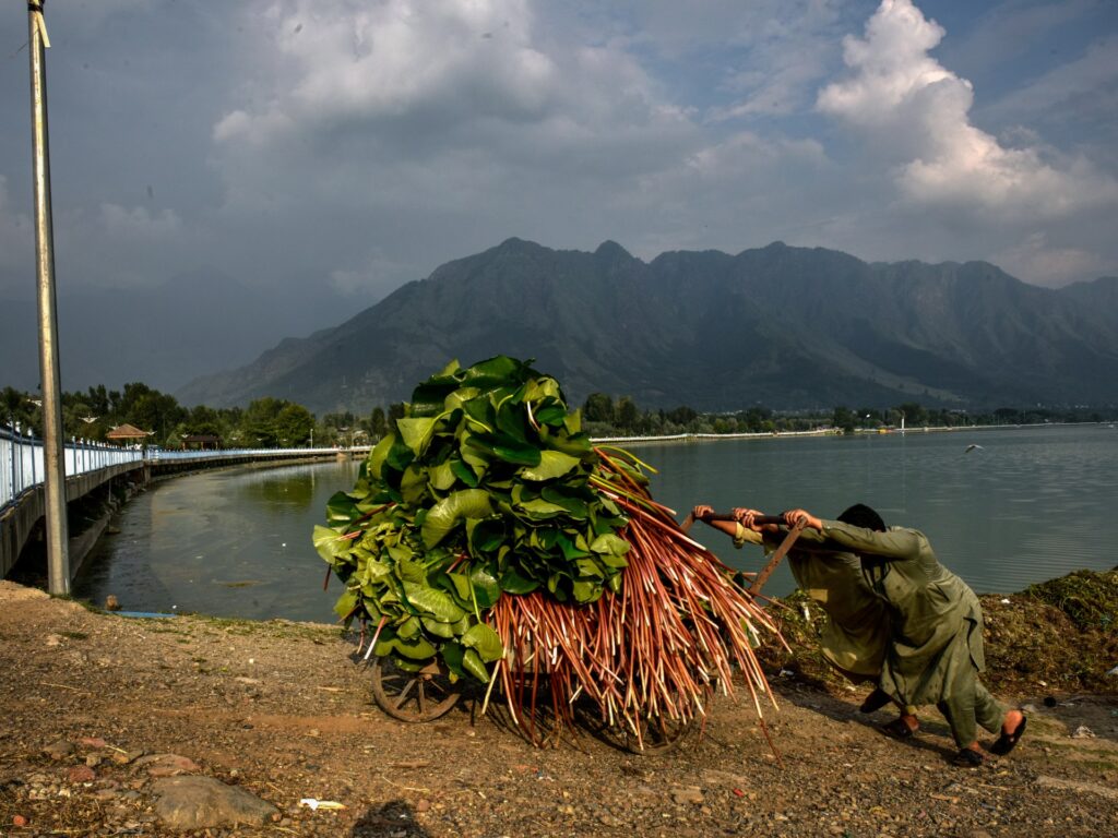 Photos: Kashmir’s Dal Lake faces environmental and climate challenges | Environment News