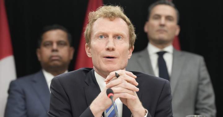 Miller says government moving quickly but no timeline for new digital regulator – National