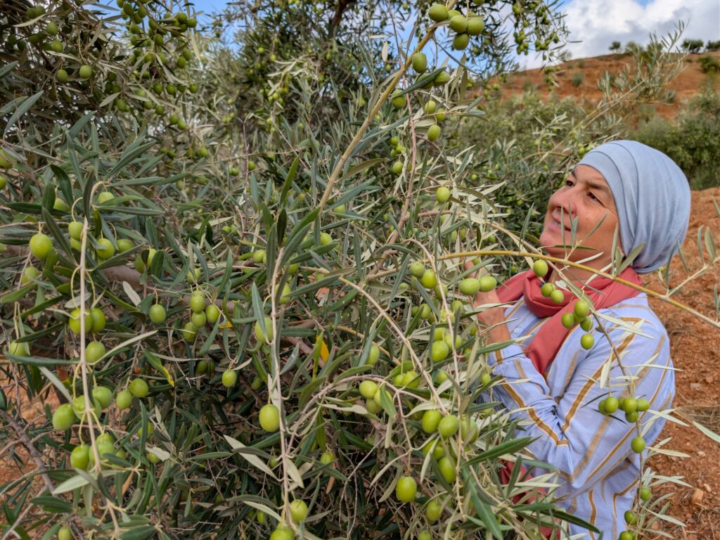 The Muslims finding belonging in southern Spain | Longform