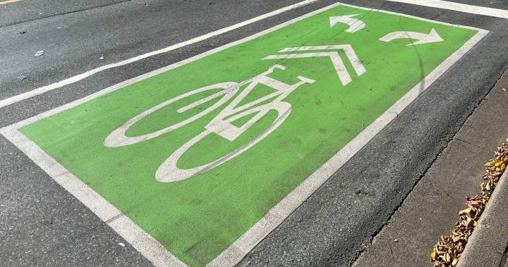 Halifax council puts off decision on bike network alternatives – Halifax