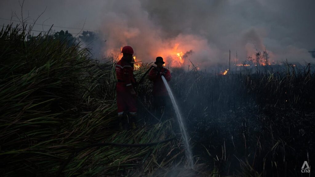 Prabowo steps up Indonesia’s firefighting efforts; foreign offers of help not discussed