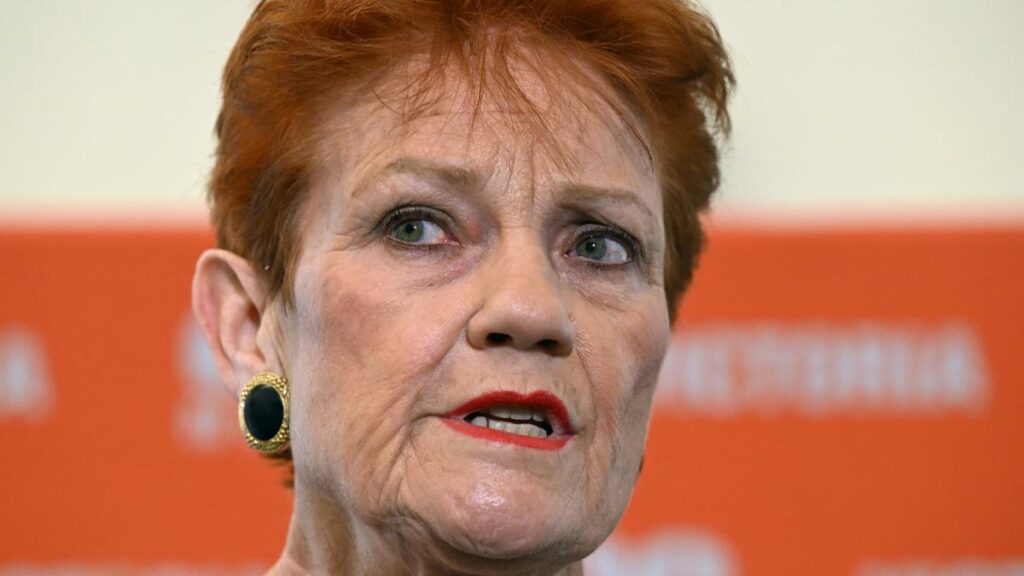 Chris Minns pushes to have One Nation policies independently costed ahead of NSW Election