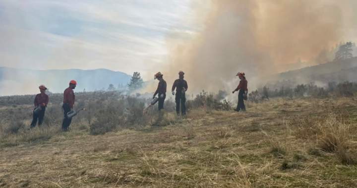 Indigenous cultural burn near Osoyoos revives traditional fire stewardship – Okanagan