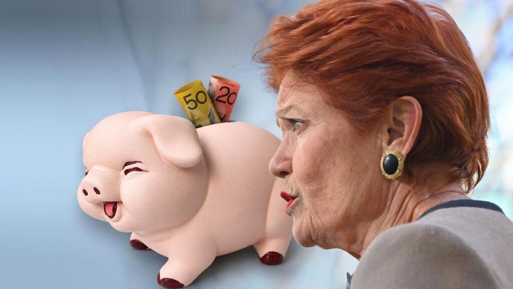 One Nation pushes ahead with controversial super policy