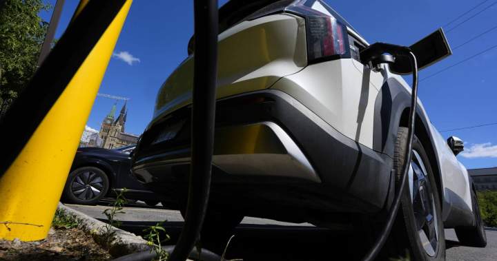 Canada’s EV sales are growing, but not fast enough: expert – National