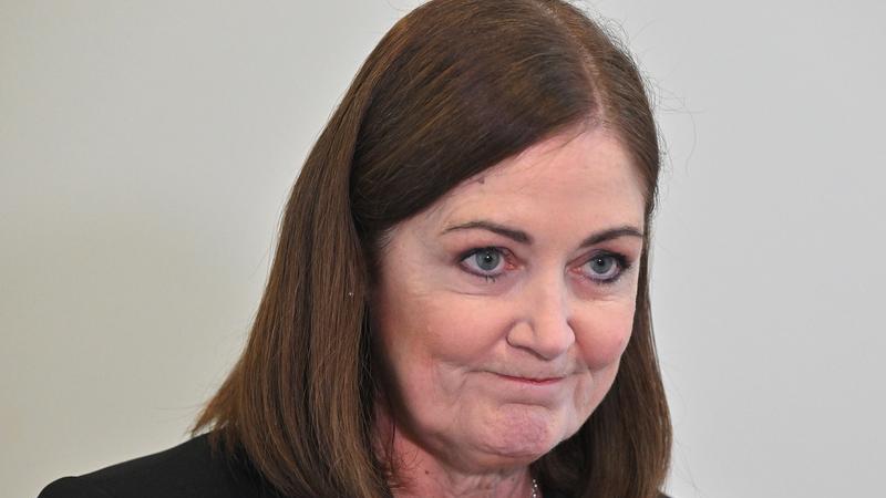 Labor’s latest tech policy would shut down Pauline Hanson’s satire cartoon, says Sarah Henderson