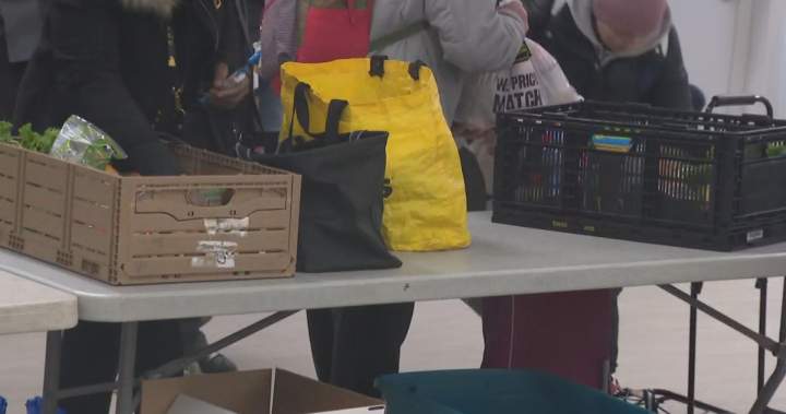 1 in 3 food banks, shelters forced to turn away people due to demand: survey – National