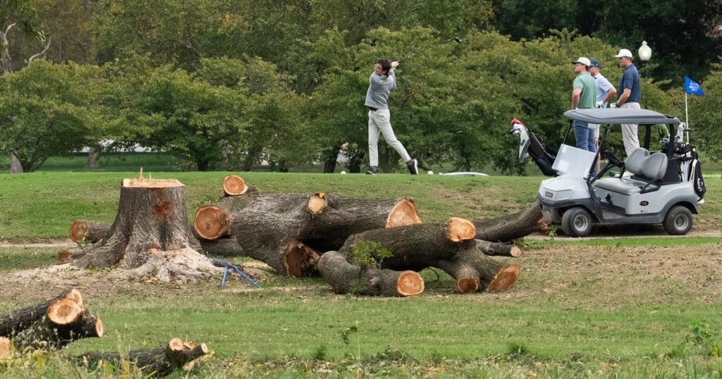 Judge chastises Justice Department lawyers after hundreds of trees cut down at D.C. golf course