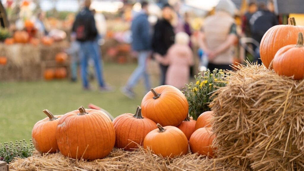 Pumpkin patch linked to E. coli outbreak that sends 3 children to ICU