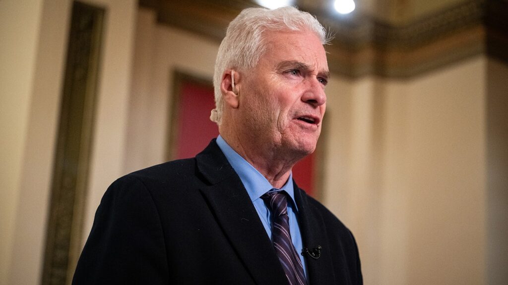 Emmer fires back at Karl for downplaying far-left Democrats ahead of midterms